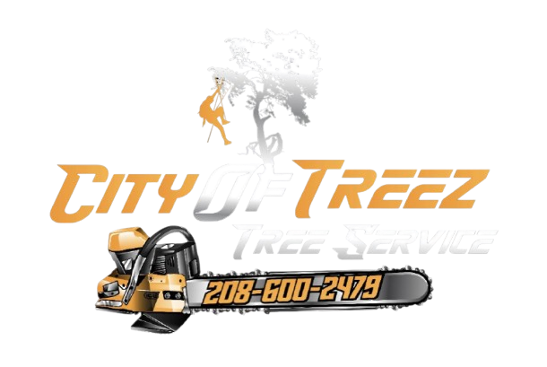 City of Treez